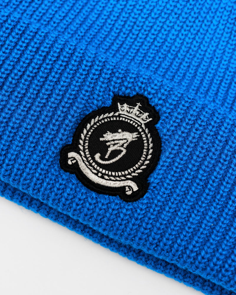 HRH Chrome Beanie - Blue